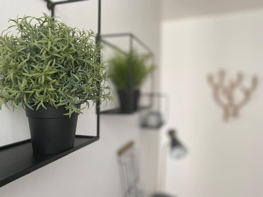 Les Beaux Arts, Appartement Au Coeur De רואן מראה חיצוני תמונה